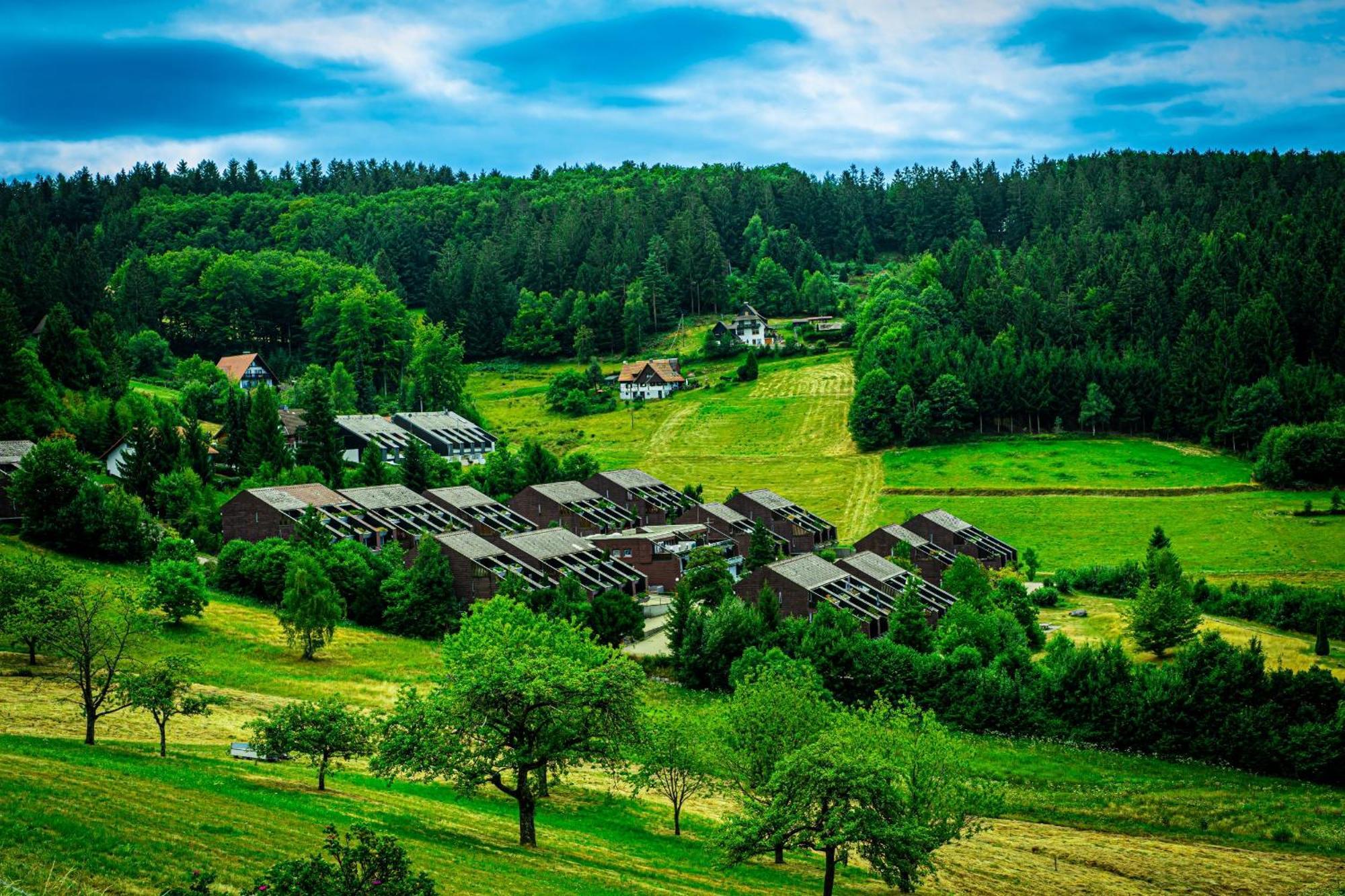 Natur Tanken Im Schwarzwald Засбахвальден Екстер'єр фото